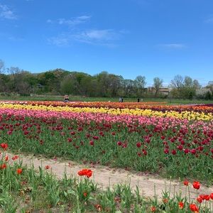 Meet your Posher, Anjali